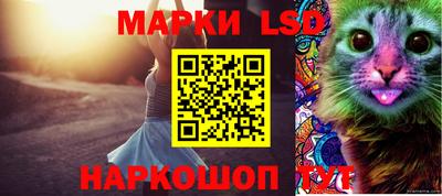 mdpv Кингисепп