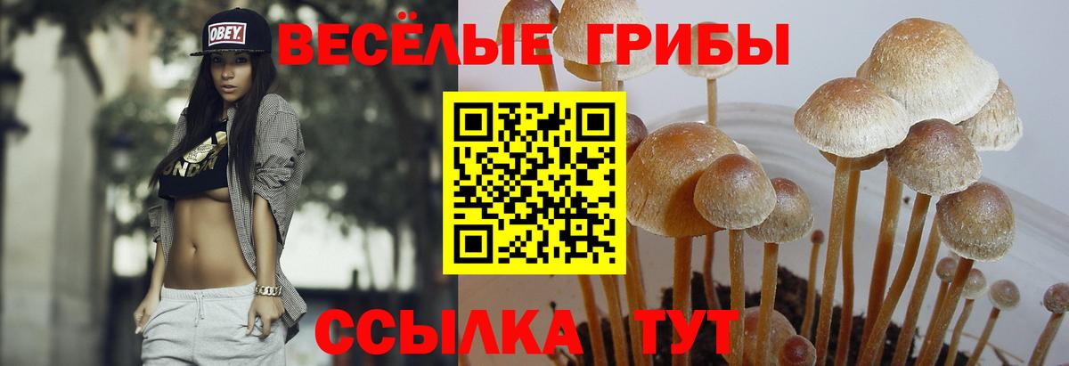 Псилоцибиновые грибы мухоморы Корсаков
